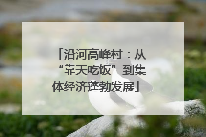 沿河高峰村：从“靠天吃饭”到集体经济蓬勃发展