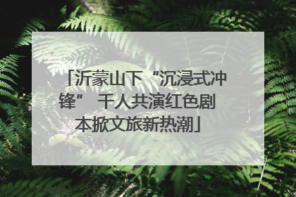 沂蒙山下“沉浸式冲锋” 千人共演红色剧本掀文旅新热潮