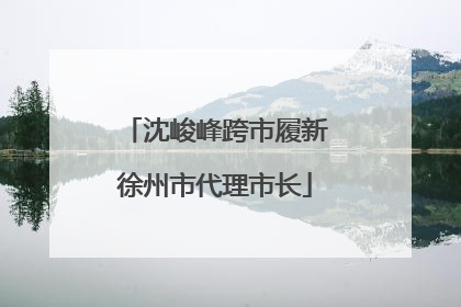 沈峻峰跨市履新徐州市代理市长