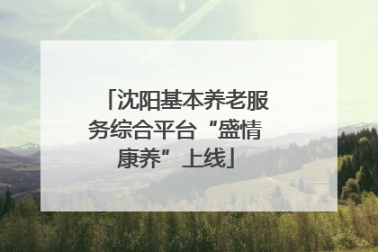 沈阳基本养老服务综合平台“盛情康养”上线