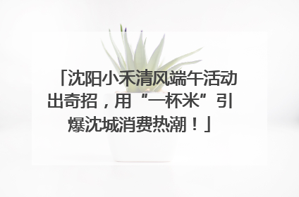 沈阳小禾清风端午活动出奇招，用“一杯米”引爆沈城消费热潮！