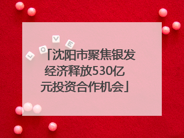 沈阳市聚焦银发经济释放530亿元投资合作机会