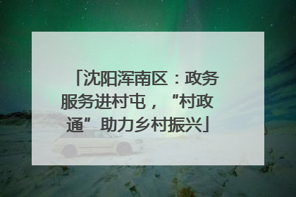 沈阳浑南区：政务服务进村屯，“村政通”助力乡村振兴