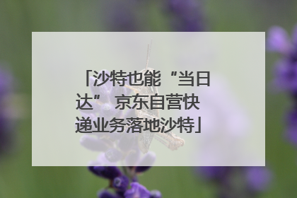 沙特也能“当日达” 京东自营快递业务落地沙特