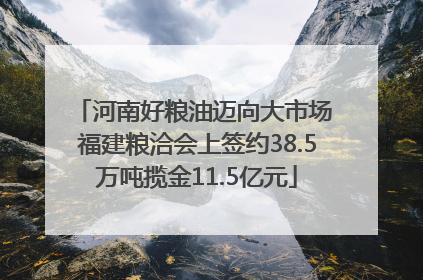 河南好粮油迈向大市场 福建粮洽会上签约38.5万吨揽金11.5亿元
