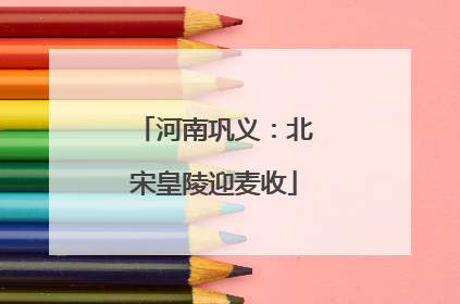 河南巩义：北宋皇陵迎麦收
