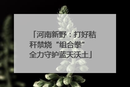 河南新野：打好秸秆禁烧“组合拳” 全力守护蓝天沃土
