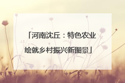 河南沈丘：特色农业绘就乡村振兴新图景