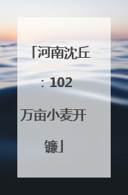 河南沈丘：102 万亩小麦开镰