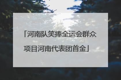 河南队笑捧全运会群众项目河南代表团首金