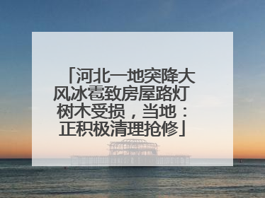 河北一地突降大风冰雹致房屋路灯树木受损，当地：正积极清理抢修