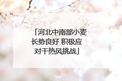 河北中南部小麦长势良好 积极应对干热风挑战
