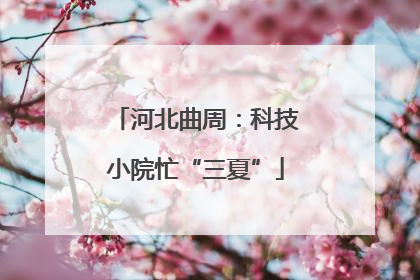 河北曲周：科技小院忙“三夏”