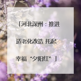 河北深州：推进适老化改造 托起幸福“夕阳红”