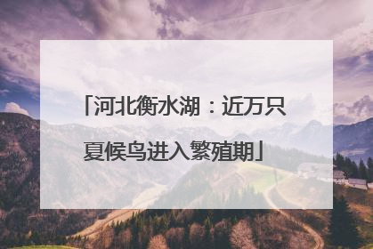 河北衡水湖：近万只夏候鸟进入繁殖期