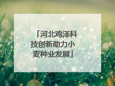 河北鸡泽科技创新助力小麦种业发展