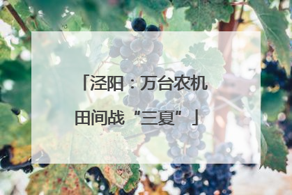 泾阳：万台农机田间战“三夏”