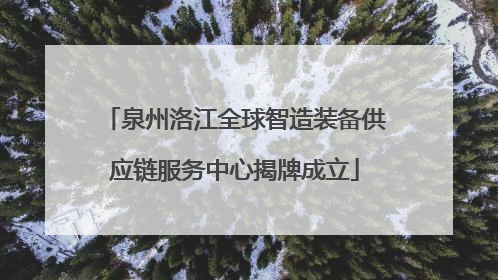 泉州洛江全球智造装备供应链服务中心揭牌成立