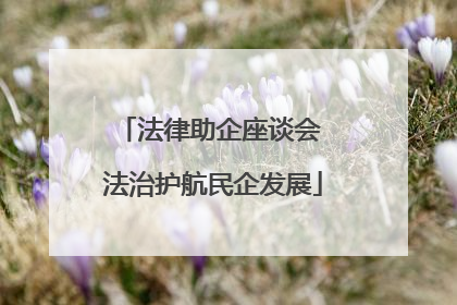 法律助企座谈会 法治护航民企发展