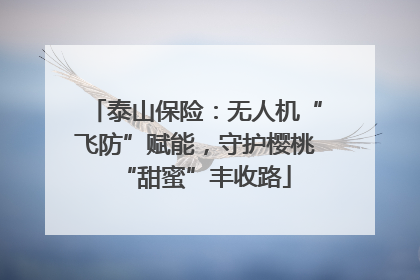 泰山保险：无人机“飞防”赋能，守护樱桃“甜蜜”丰收路