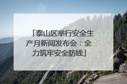 泰山区举行安全生产月新闻发布会：全力筑牢安全防线