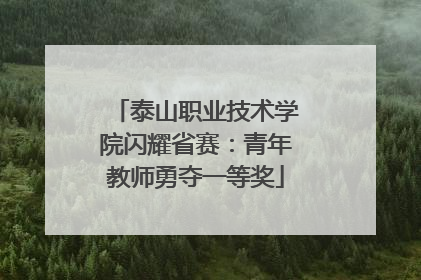 泰山职业技术学院闪耀省赛：青年教师勇夺一等奖