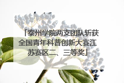 泰州学院两支团队斩获全国青年科普创新大赛江苏赛区二、三等奖