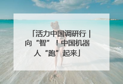 活力中国调研行｜向“智”！中国机器人“跑”起来