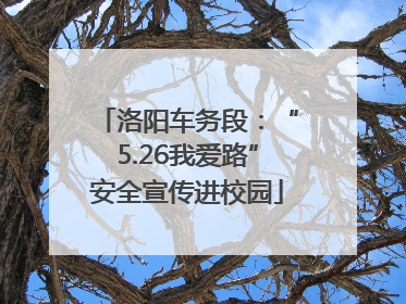 洛阳车务段：“5.26我爱路”安全宣传进校园
