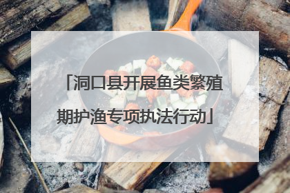 洞口县开展鱼类繁殖期护渔专项执法行动
