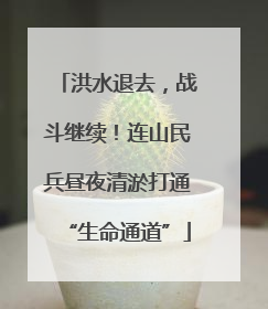 洪水退去，战斗继续！连山民兵昼夜清淤打通“生命通道”