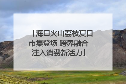 海口火山荔枝夏日市集登场 跨界融合注入消费新活力