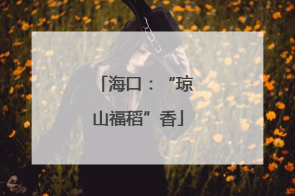 海口：“琼山福稻”香