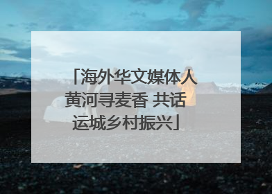 海外华文媒体人黄河寻麦香 共话运城乡村振兴