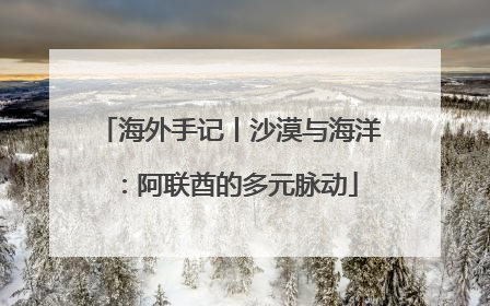 海外手记丨沙漠与海洋：阿联酋的多元脉动