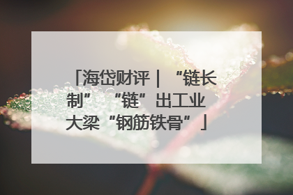 海岱财评｜“链长制” “链”出工业大梁“钢筋铁骨”