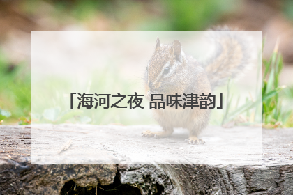 海河之夜 品味津韵
