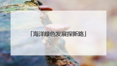 海洋绿色发展探新路