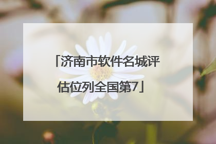 济南市软件名城评估位列全国第7