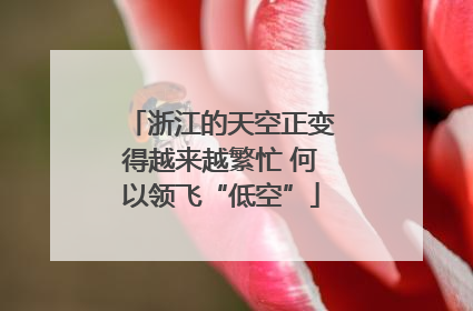 浙江的天空正变得越来越繁忙 何以领飞“低空”