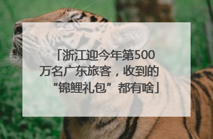 浙江迎今年第500万名广东旅客，收到的“锦鲤礼包”都有啥