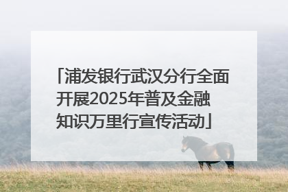 浦发银行武汉分行全面开展2025年普及金融知识万里行宣传活动