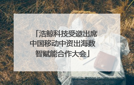 浩鲸科技受邀出席中国移动中资出海数智赋能合作大会