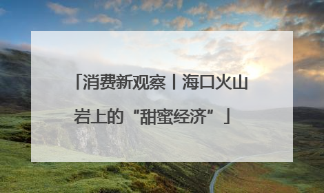 消费新观察丨海口火山岩上的“甜蜜经济”
