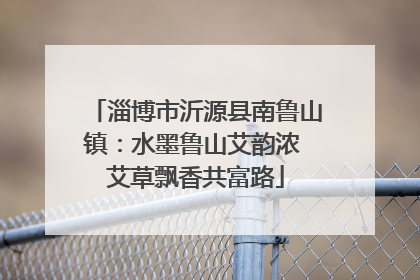 淄博市沂源县南鲁山镇：水墨鲁山艾韵浓 艾草飘香共富路