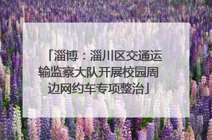 淄博：淄川区交通运输监察大队开展校园周边网约车专项整治