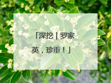 深挖｜罗家英，珍重！