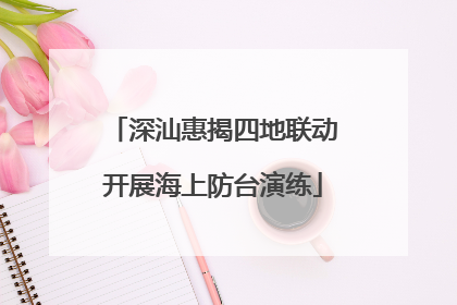 深汕惠揭四地联动开展海上防台演练