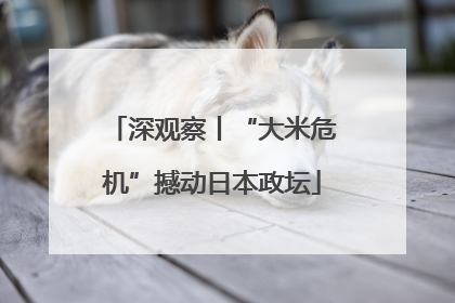 深观察丨“大米危机”撼动日本政坛