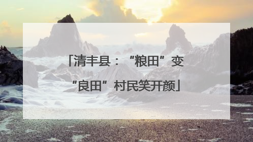 清丰县：“粮田”变“良田”村民笑开颜